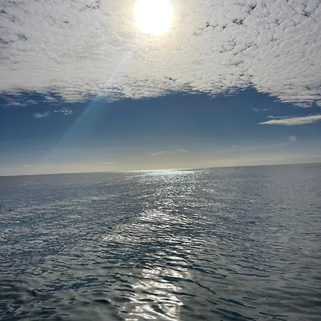 Fly & Sea View
